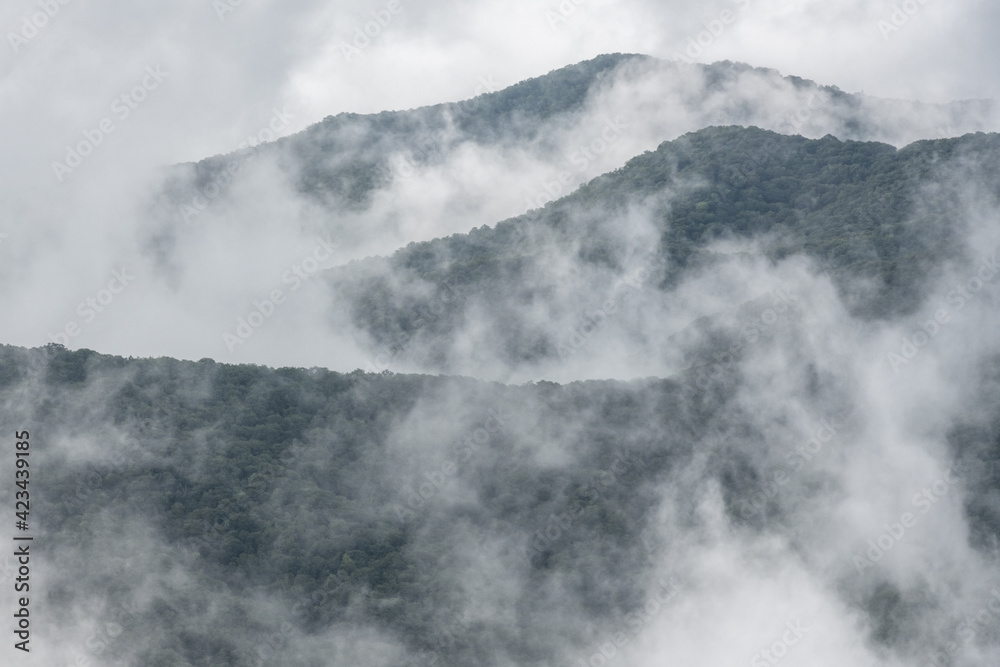 Fototapeta premium Three Ridges and Fog