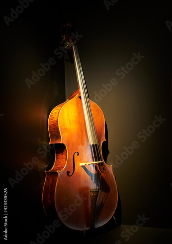 Close-up of a cello, against a black background