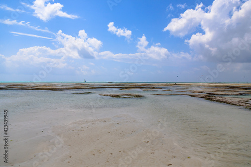 Zanzibar beach landscape  Tanzania  Africa panorama