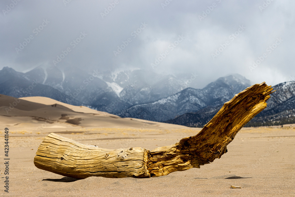 Great Sand Dunes National Park and Preserve Great Sand Dunes National Park and Preserve