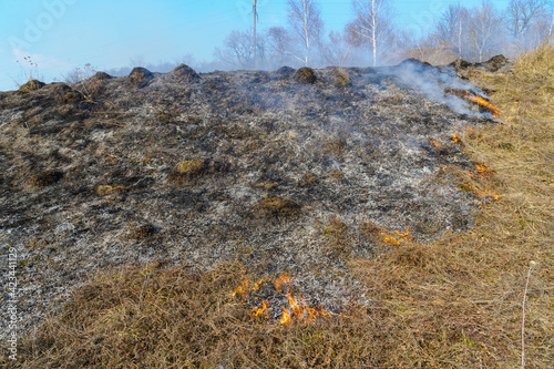 Fire was caused by burning dry grass near village Strilky and Svirzh, Lvivska region, about 40 km from Lviv. photo