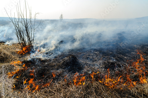 Fire was caused by burning dry grass near village Strilky and Svirzh, Lvivska region, about 40 km from Lviv. © PhotoStoker
