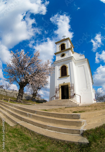 White christian chapel in Pecs with blooming almond tree in spring