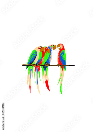 parrot on branch
