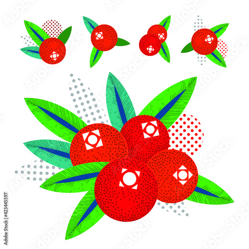 Vector drawing of a cranberry. Stylized bright modern drawing of a berry with leaves. 