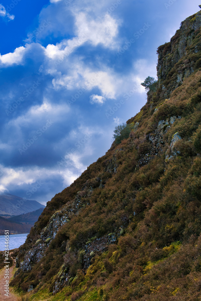 Naklejka premium landscape with blue sky and clouds
