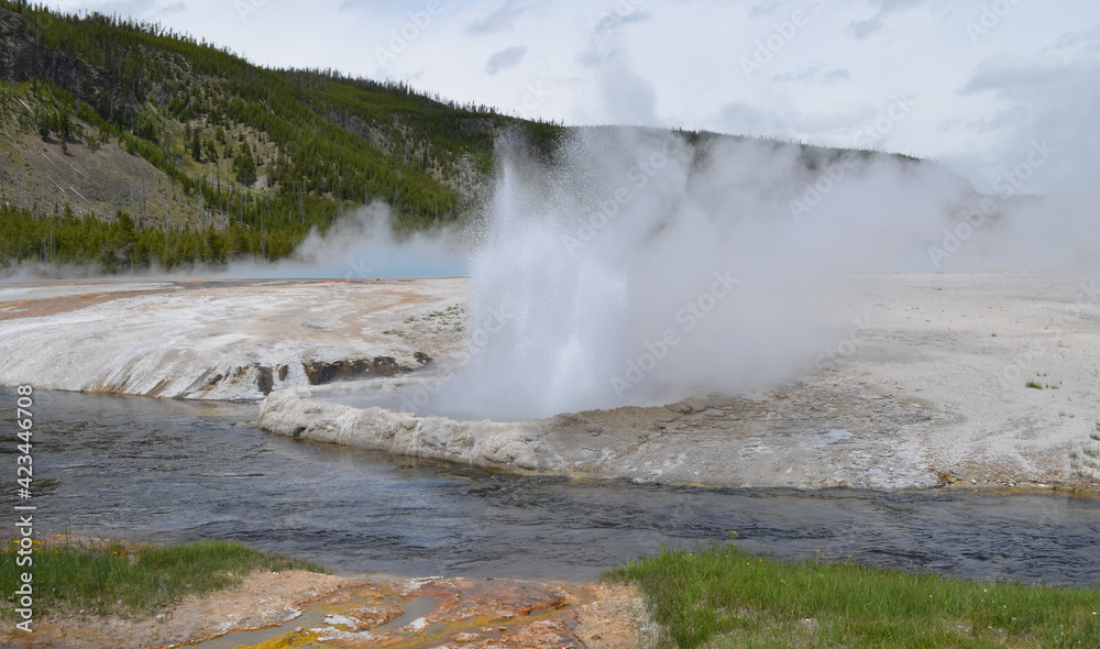 Late Spring in Yellowstone National Park: Iron Spring Creek and an Erupting Cliff Geyser of the Emerald Group in the Black Sand Basin Area of Upper Geyser Basin with Madison Plateau in the Background