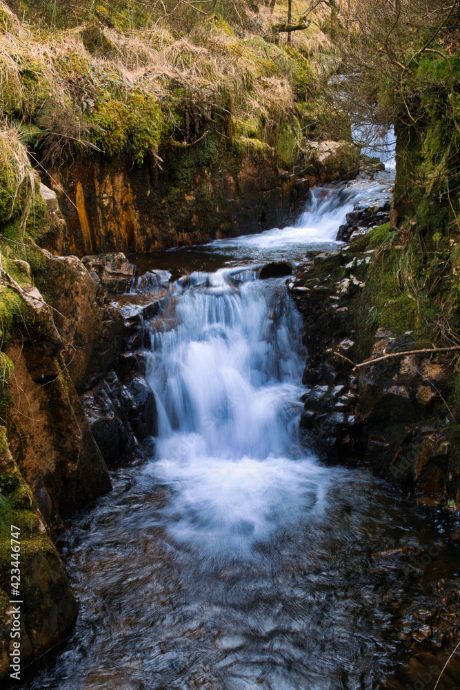 Fototapeta premium waterfall in the forest
