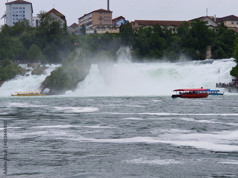 Fototapeta premium Rheinfall