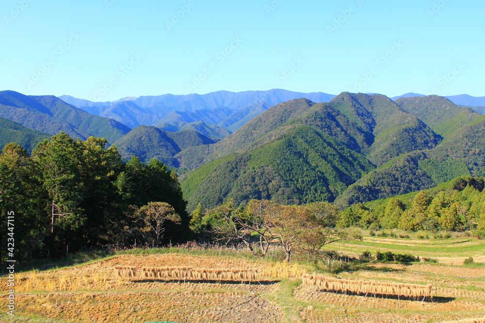 Hiking the Japanese Kumano Kodo Pilgrimage Trail - Nakahechi Route (熊野古道 - 中辺路コース) | Farming in Takahara (高原)