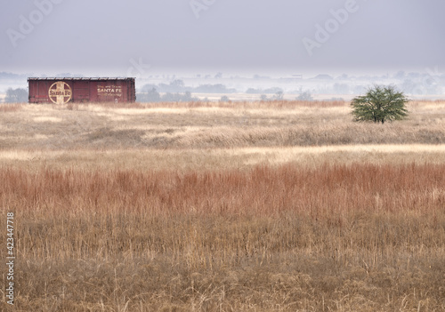 Long abandoned rusting railroad boxcar set apart in wide open field populated with one distant tree photo