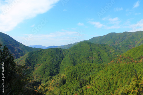 Hiking the Japanese Kumano Kodo Pilgrimage Trail - Nakahechi Route (熊野古道 - 中辺路コース)   On the trail © ¡zenzen!
