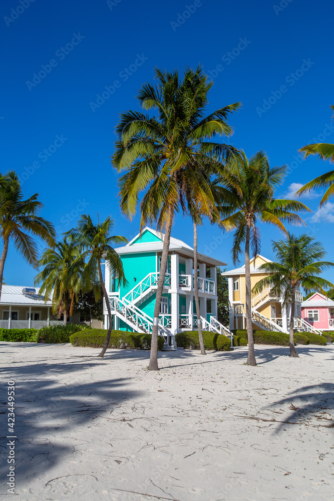 Tropical white sand beach with coco palms and the turquoise sea on Caribbean island.  Pastel color houses pink, green, blue.  Little Cayman, Cayman Islands