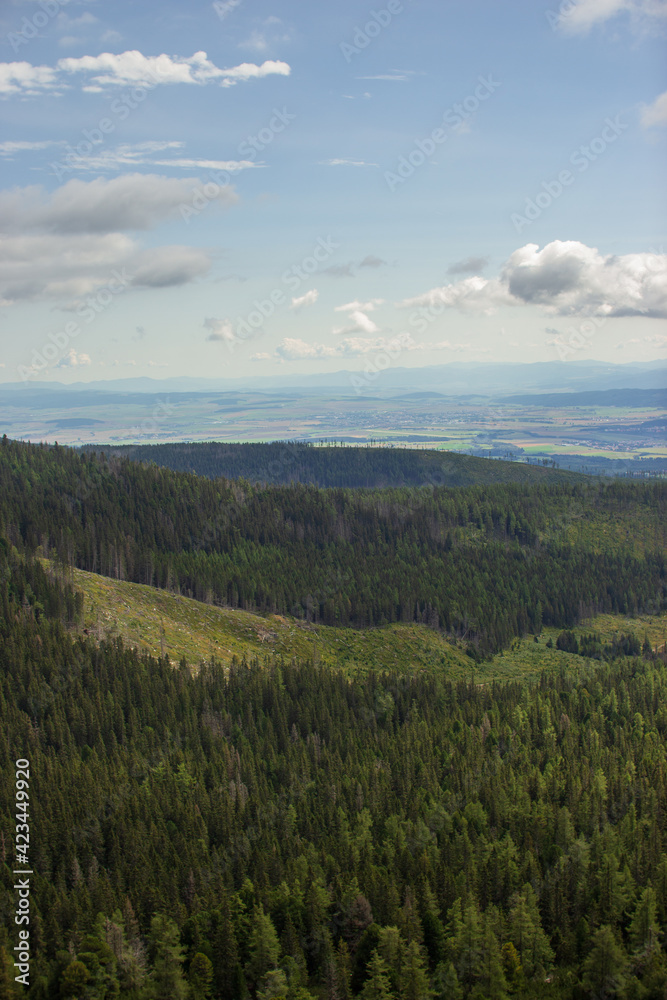 picturesque summer  view on the  forest and mountains from the top