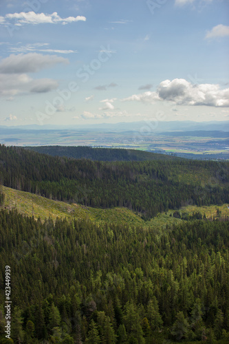picturesque summer view on the forest and mountains from the top