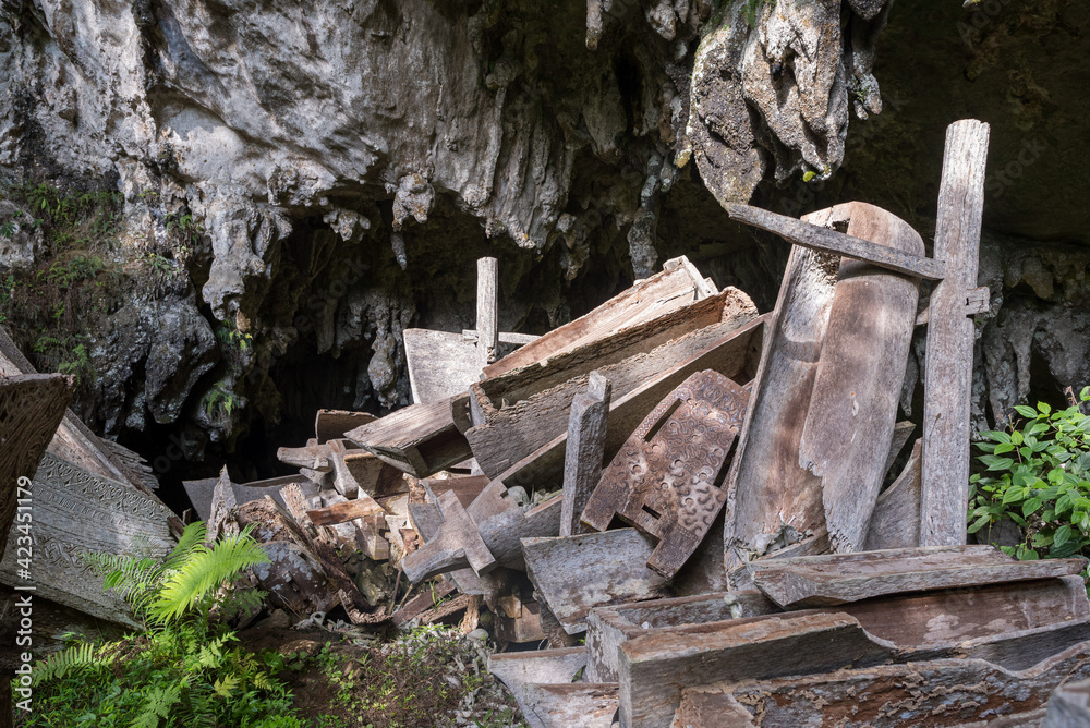 Fototapeta premium The spectacular cave tomb of Lombok Parinding which has housed the dead of Tana Toraja since 700 years. The tomb is famous for its ancient, ornate coffins, called Erong, and exposed skulls and bones