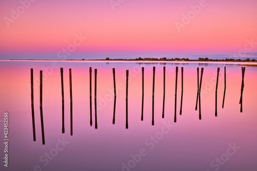 pink sky reflection in the water with stakes in the water