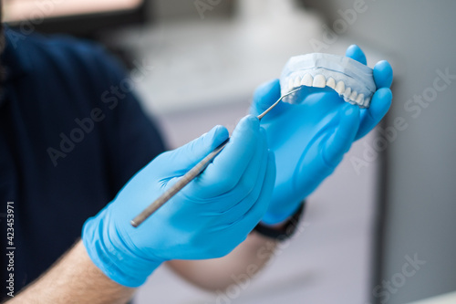 The dentist holds a plaster cast of the jaw. Blue gloves.