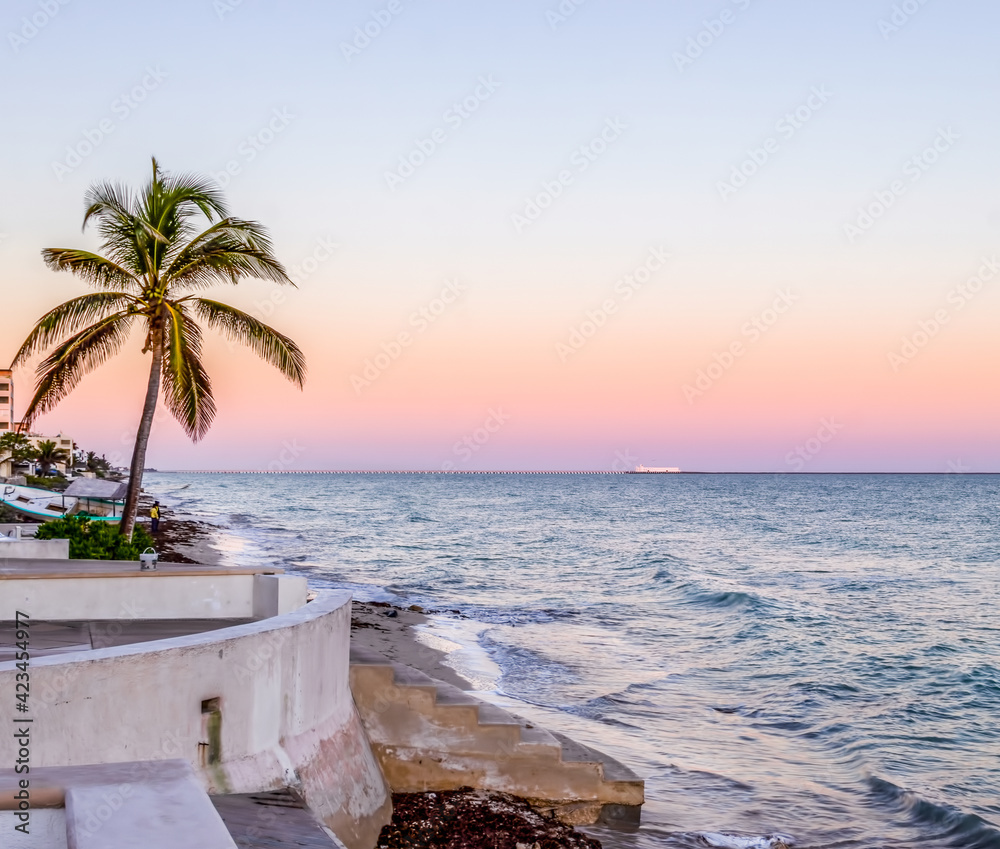 Naklejka premium Pastel colours on the horizon as the sun sets over the ocean, with a single palm tree and rocks in the foreground