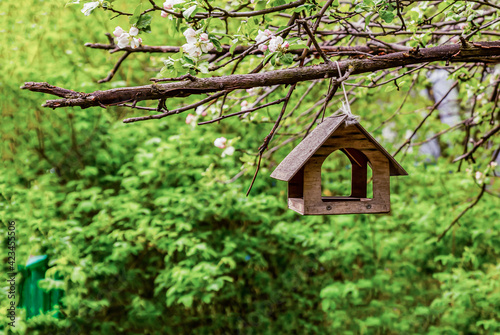 wooden bird house hanging on a branch of an apple tree
