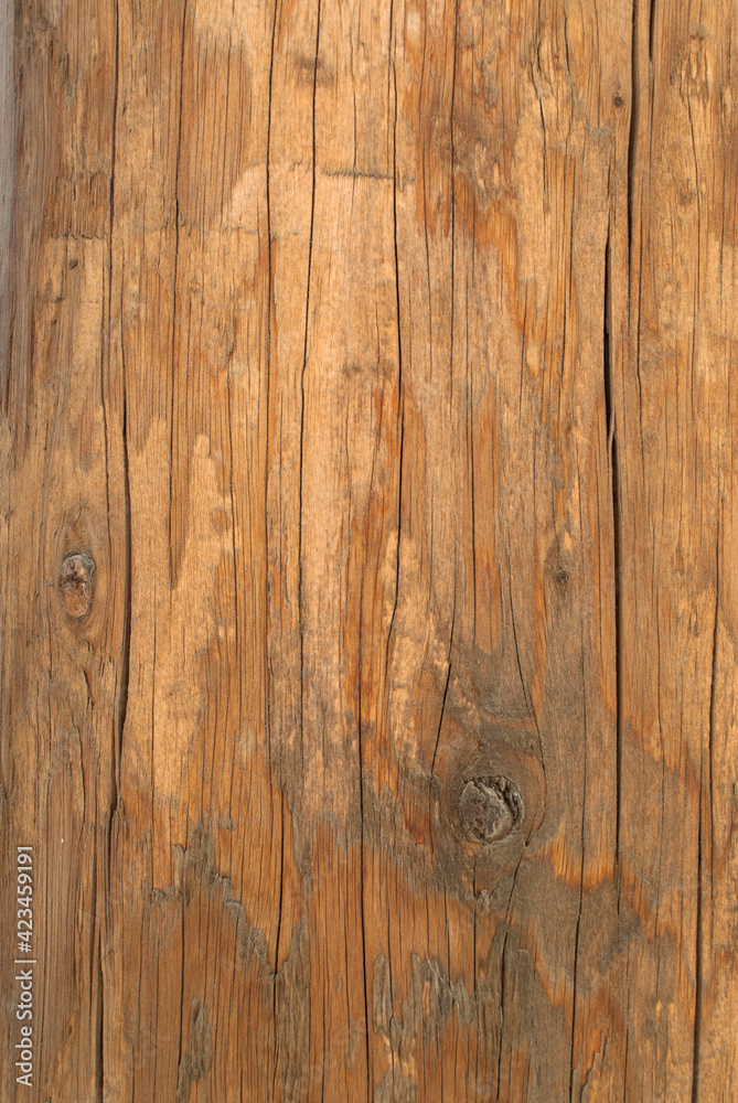 textura de madera con nudos fondo de pantalla textura de madera con nudos fondo de pantalla