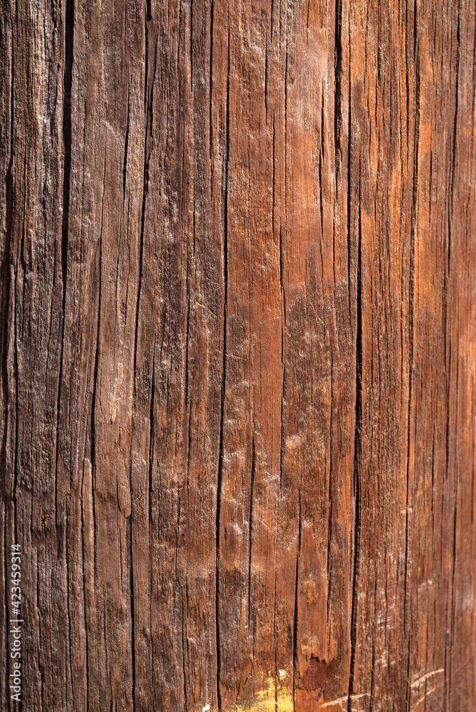 textura de madera con nudos fondo de pantalla textura de madera con nudos fondo de pantalla