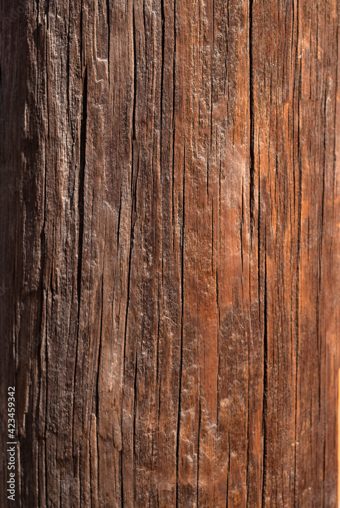 textura de madera con nudos fondo de pantalla textura de madera con nudos fondo de pantalla