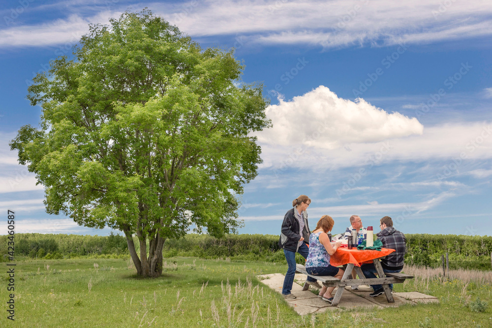 family picnic by a large green tree in the summer. family picnic by a large green tree in the summer.