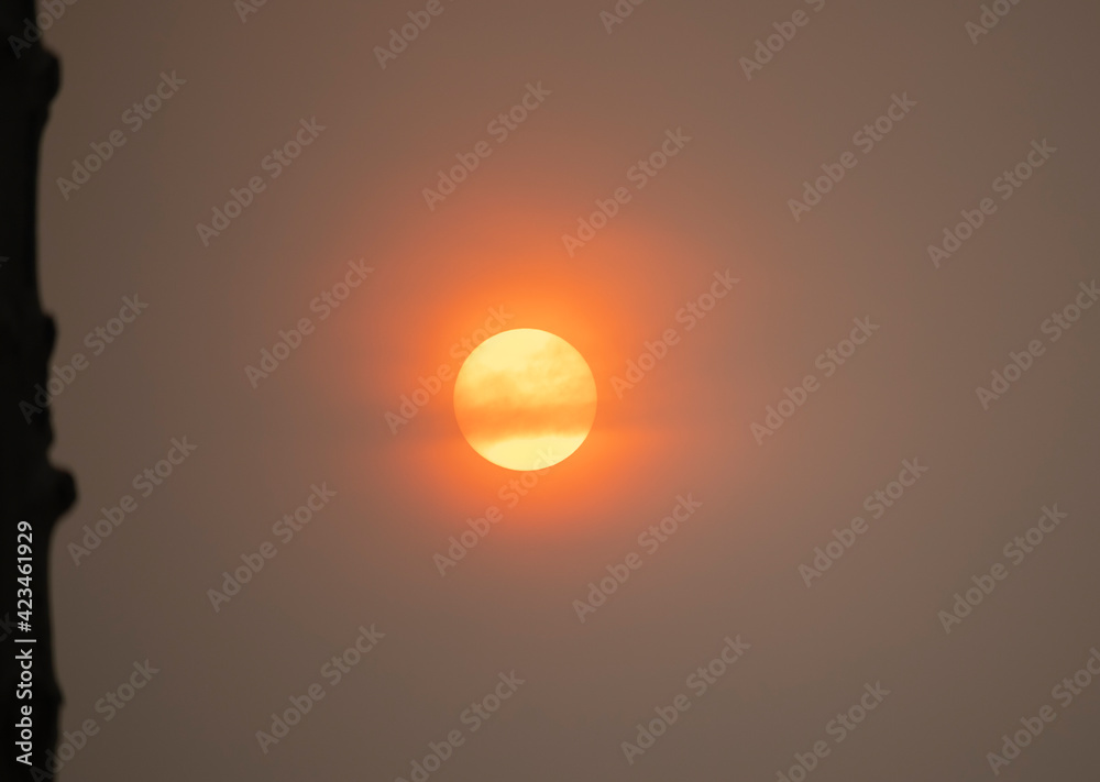 The red sun at dawn was fog over the tip of the rebar in the construction site.