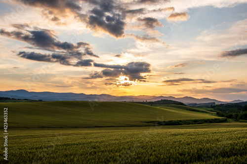 初夏の美瑛町 麦畑と夕焼けの風景 © TATSUYA UEDA