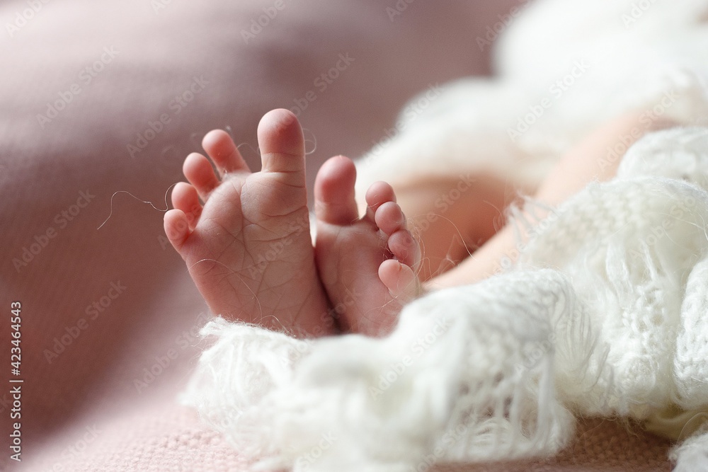 small heels of a newborn baby close up. Pink background small heels of a newborn baby close up. Pink background