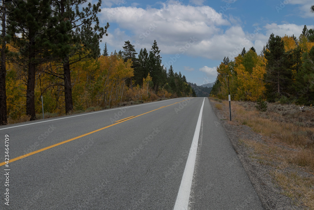 Highway 88 towards Carson Pass in the Fall featuring aspen trees yellow color on a blue sky day with a few clouds