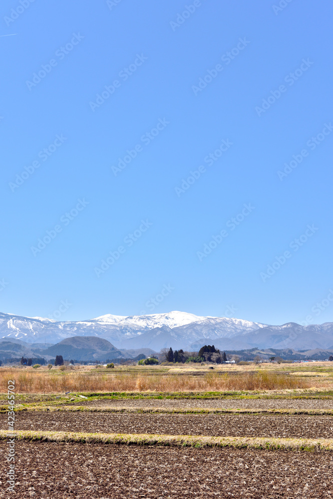 宮城の田園、春を待つ里山から雪の蔵王を望む