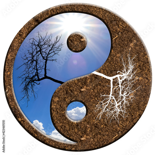 Quadro em tela yin yang symbole, terre, ciel, arbre et ses racines