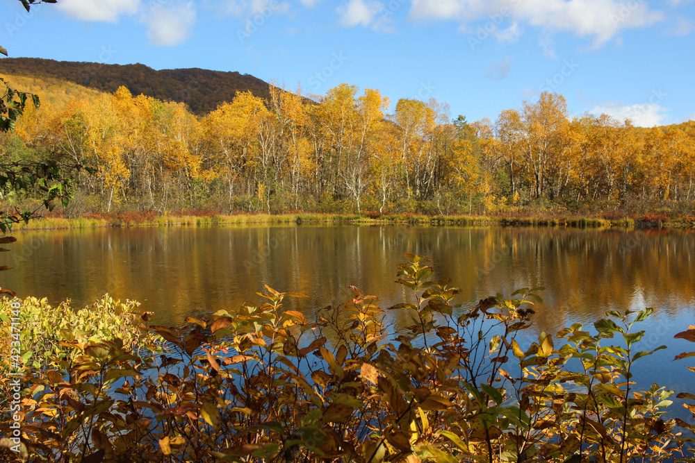 Fototapeta premium Trekking around volcanoes of Kamchatka in fall season. Northern pristine nature.