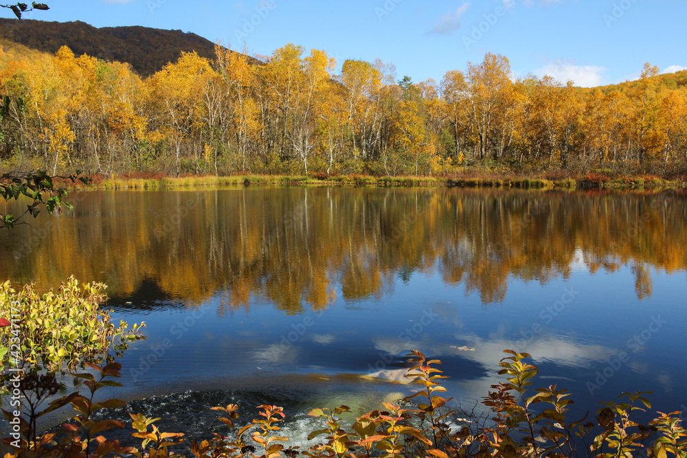 Trekking around volcanoes of Kamchatka in fall season. Northern pristine nature.