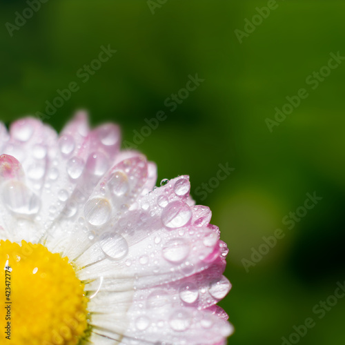 Photography Square background with copy space and bokeh effect