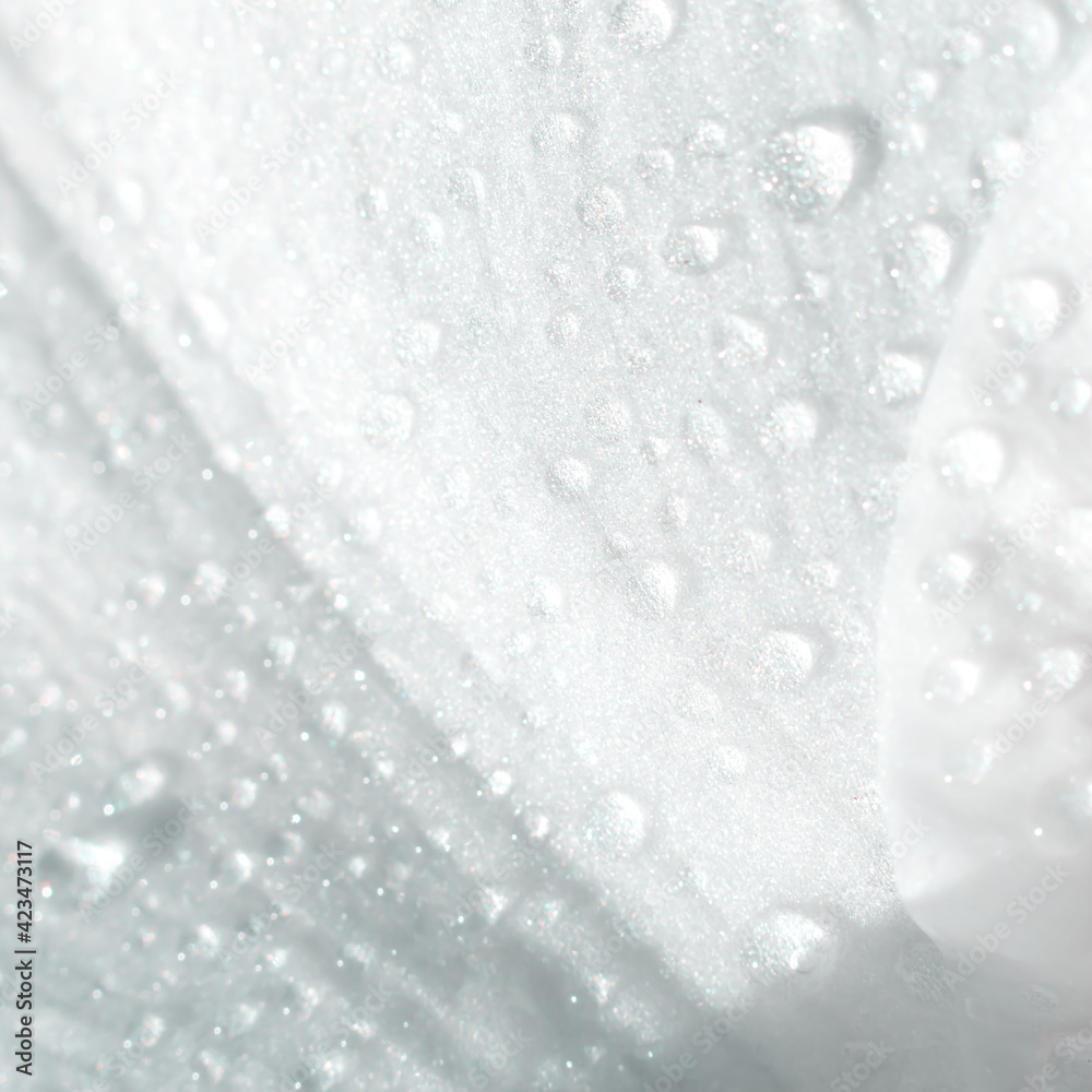 Fototapeta premium Square format. White rose petal with many shining water droplets on sun