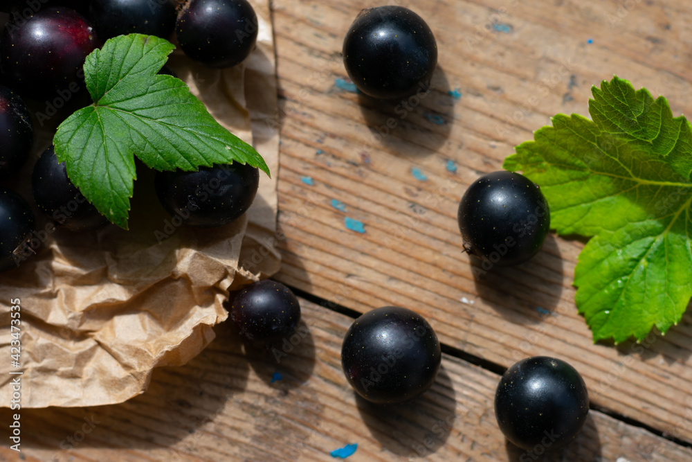 Top view of composition with black berries on wooden table. Freshly picked seasonal berries from countryside garden Top view of composition with black berries on wooden table. Freshly picked seasonal berries from countryside garden