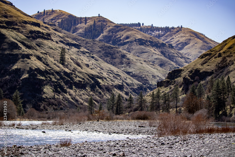 landscape in winter