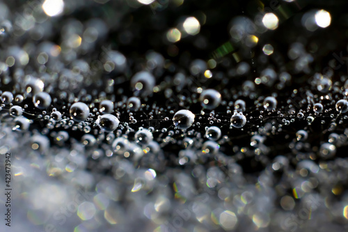 Natural background with spiderweb. Plenty sparkling on light water drops on thin web on black blurred backdrop