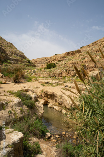 Prat Brook in the Judea Desert, Israel