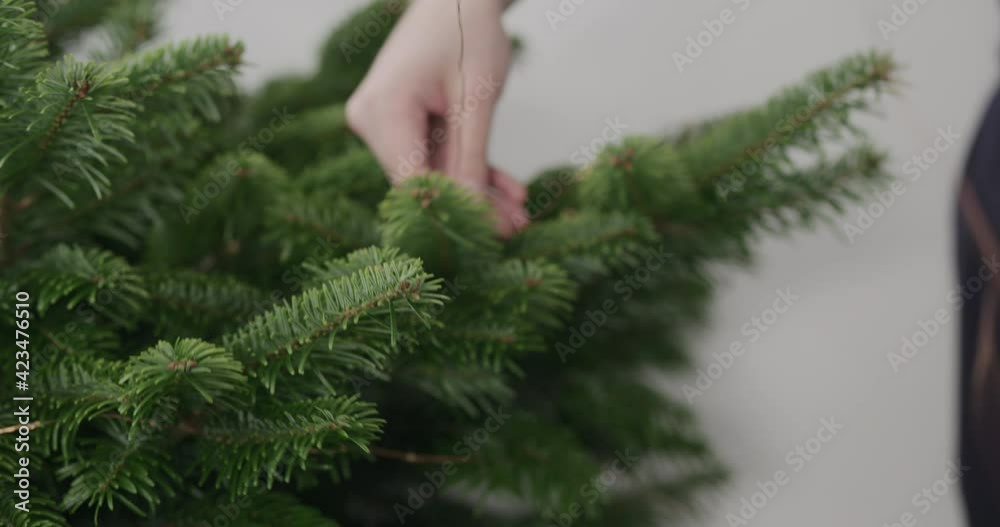 Man decorating christmas tree indoor with lights