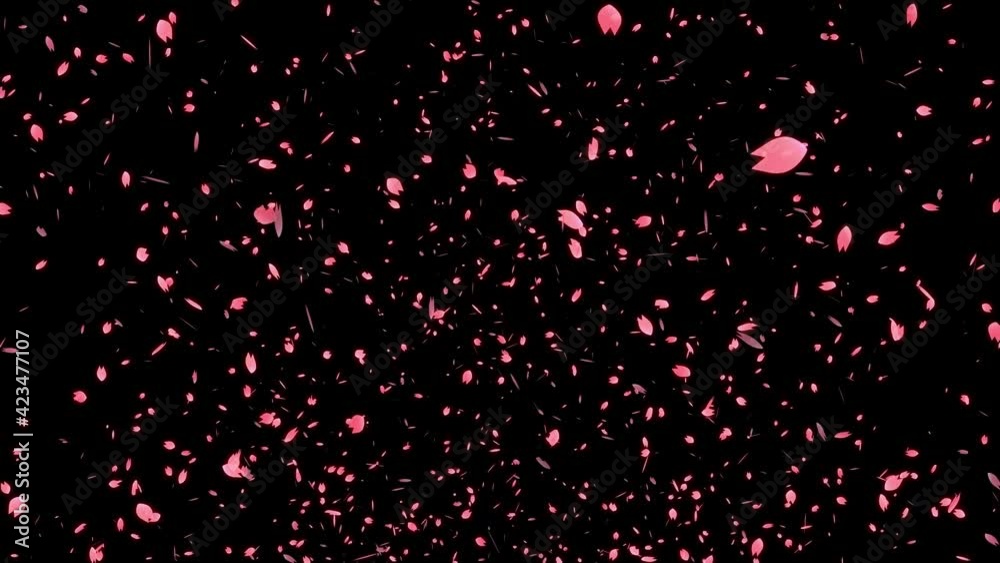 桜 花びら 浮かび上がる パーティクル モーショングラフィックス
桜 花びら 浮かび上がる パーティクル モーショングラフィックス