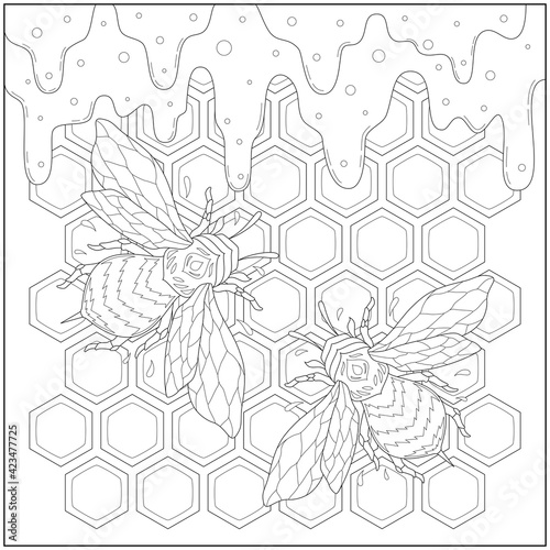 Beautiful honey bee in the beeswax and flowing honey. Learning and education coloring page illustration for adults and children. Outline style, black and white drawing.