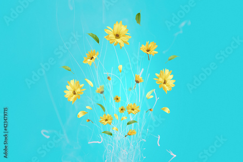 Bouquet of yellow flowers in the form of fireworks on a blue background.