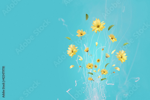 Bouquet of yellow flowers in the form of fireworks on a blue background with copy space.