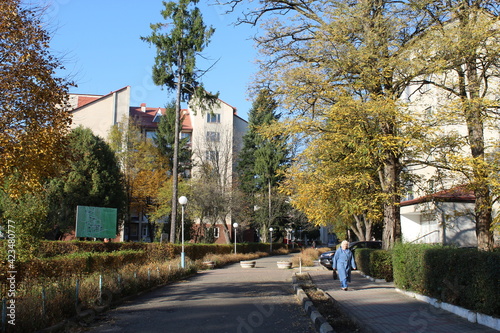 Street in the city of Morshin