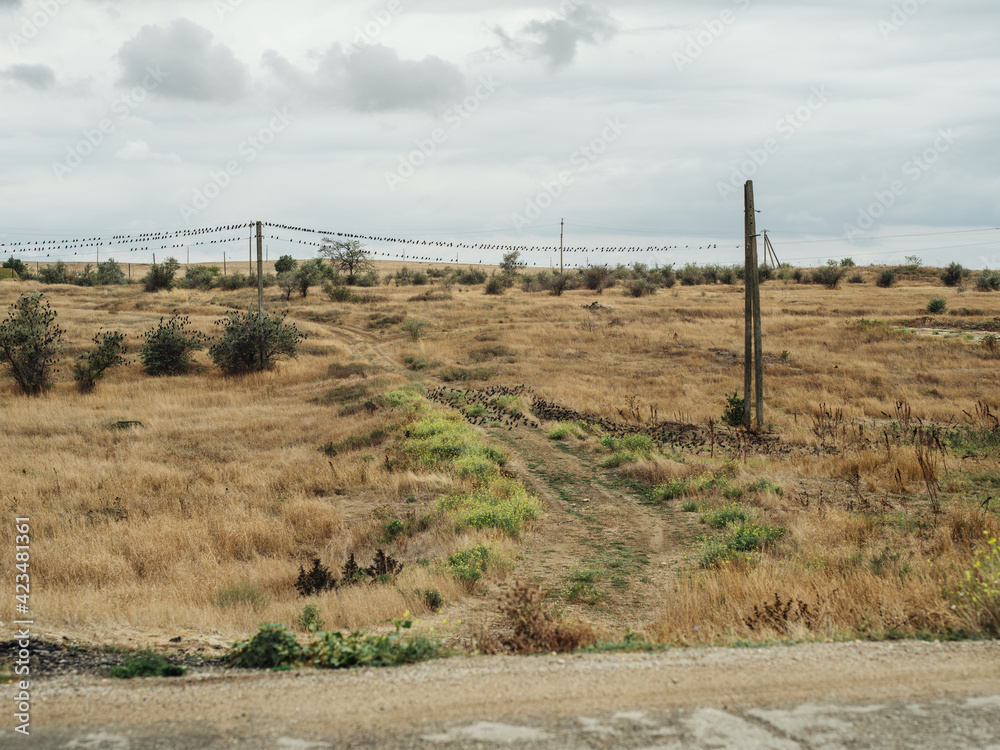 Dry grass nature fresh air clouds road wires Dry grass nature fresh air clouds road wires
