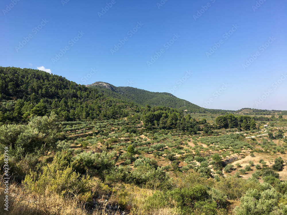 View of the natural environment of the Sierra de Mariola, in Alicante. Mediterranean pine forest. Green mountains under a blue sky.